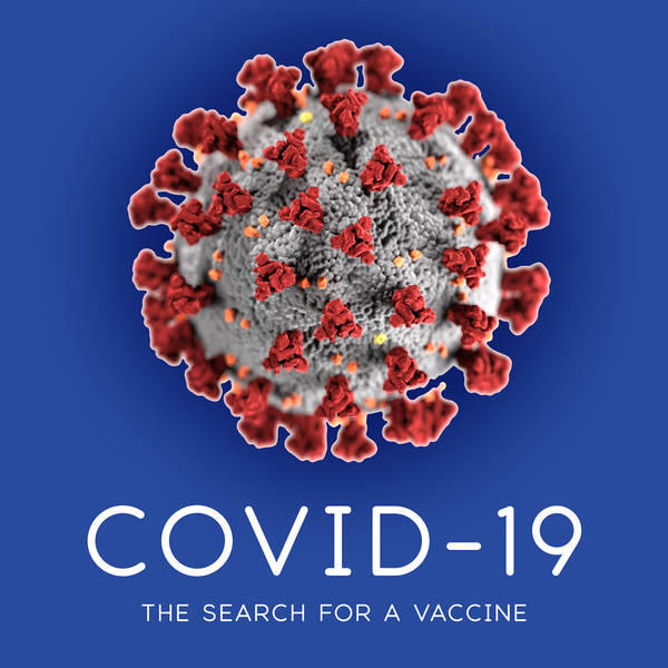 COVID-19:  The Search for a Vaccine