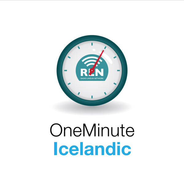 Lesson 3 - One Minute Icelandic
