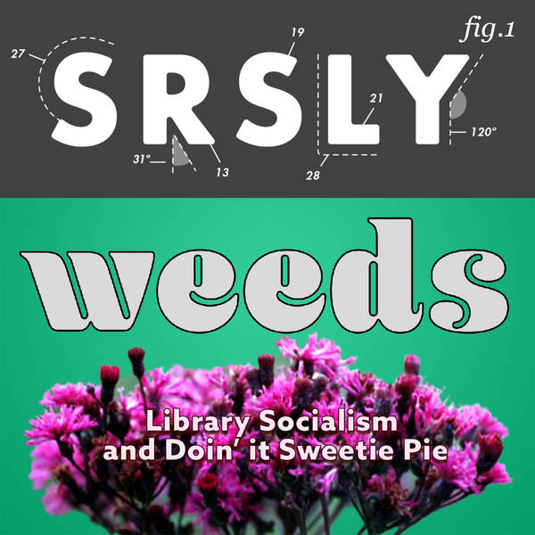 236 – Talking to Ironweeds about Library Socialism and bein’ Sweetie Pie