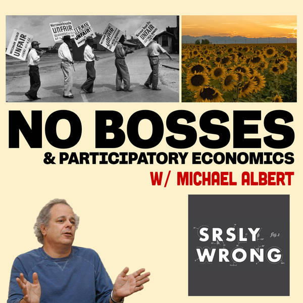 254 – No Bosses & Participatory Economics W/ Michael Albert