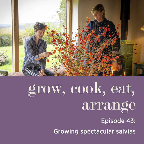 Growing Spectacular Salvias with Sarah Raven & Arthur Parkinson - Episode 43
