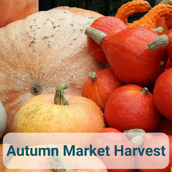 Autumn Market Harvest with Amy Feezor