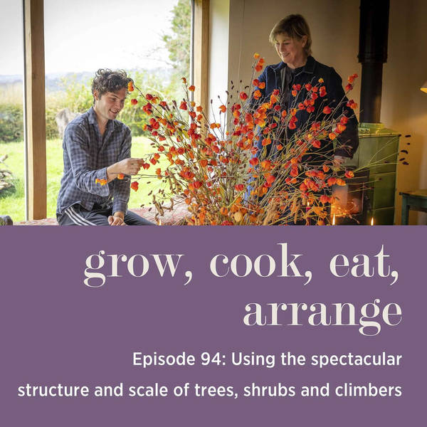 Using the Spectacular Structure and Scale of Trees, Shrubs and Climbers - Episode 94