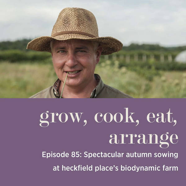 Spectacular Autumn Sowing at Heckfield Place’s Biodynamic Farm with David Rowley - Episode 85