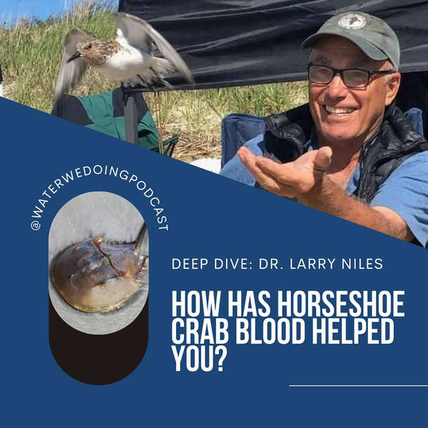 Deep Dive: Dr. Larry Niles, How Has Horseshoe Crab Blood Helped You?