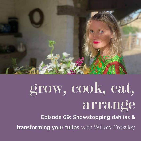 Showstopping Dahlias & Transforming Your Tulips with Willow Crossley - Episode 69