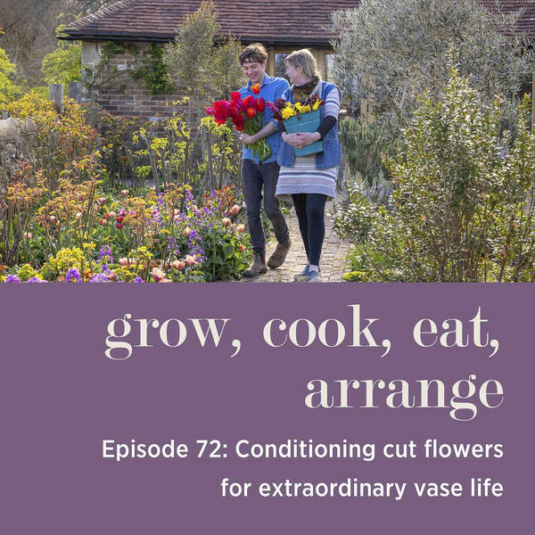 Conditioning Cut Flowers for Extraordinary Vase Life - Episode 72
