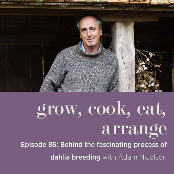 Behind the Fascinating Process of Dahlia Breeding with Adam Nicolson - Episode 86