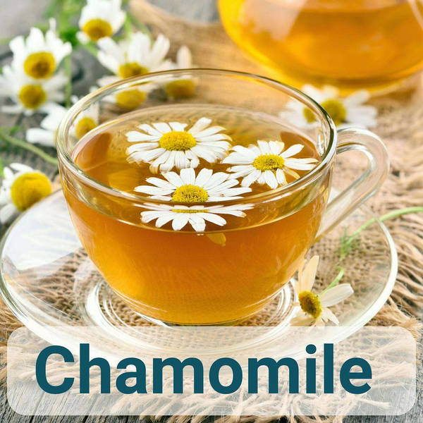 A to Z of French Herbs - Chamomile - Camomille