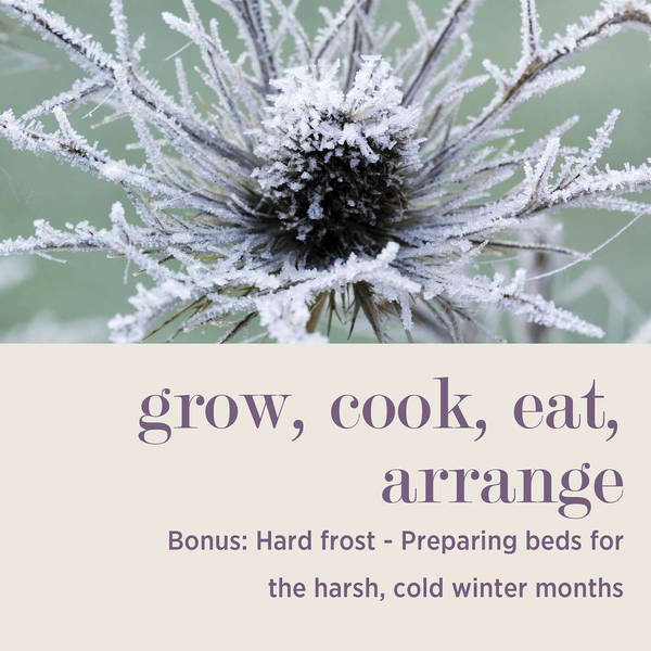 Hard Frost: Preparing Beds for the Harsh, Cold Winter Months #BONUS