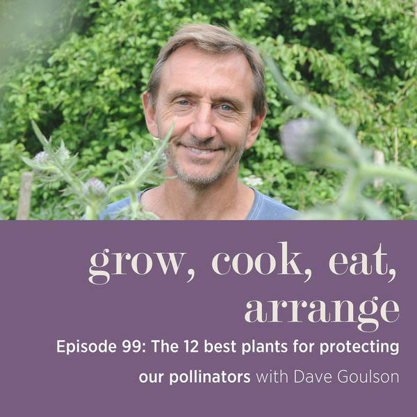 The 12 Best Plants for Protecting our Pollinators with Dave Goulson - Episode 99