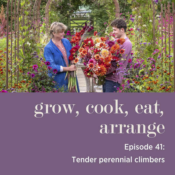 Tender Perennial Climbers with Sarah Raven & Arthur Parkinson - Episode 41