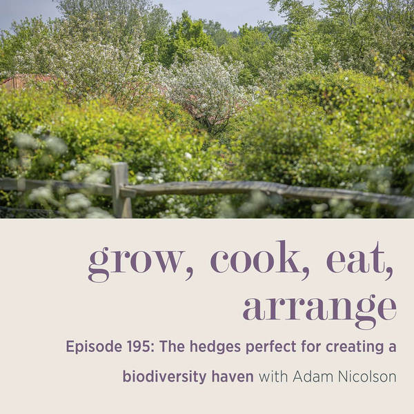 The hedges perfect for creating a biodiversity haven with Adam Nicolson - Episode 195