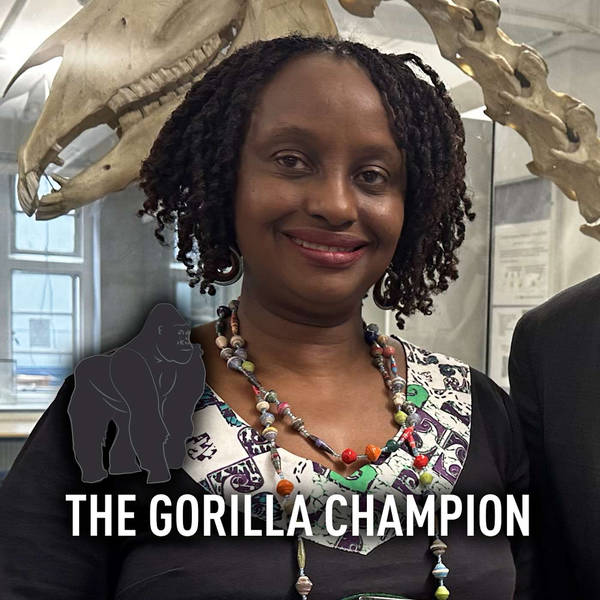 Changemakers: The Gorilla Champion