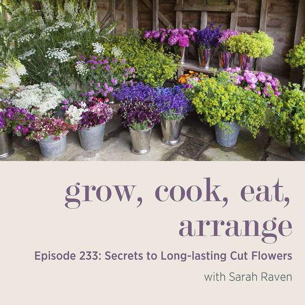 Secrets to Long-lasting Cut Flowers - Episode 233