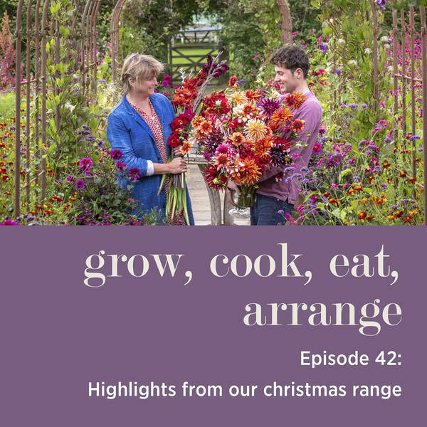 Highlights from our Christmas Range with Sarah Raven & Arthur Parkinson - Episode 42