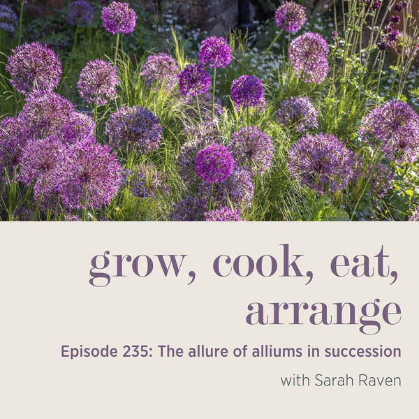 The allure of alliums in succession - Episode 235