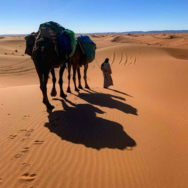Walking with Nomads - 2,800 miles Across Morocco with Explorer Alice Morrison (partner special)