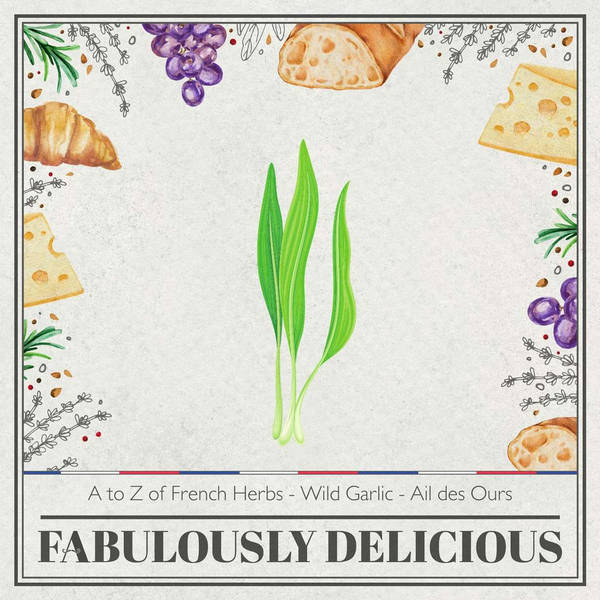 A to Z of French Herbs - Wild Garlic - Ail des Ours