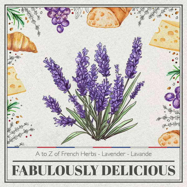 A to Z of French Herbs - Lavender - Lavande