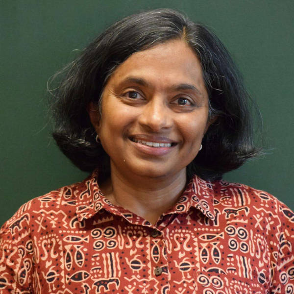 #40 Fluid mechanics, turbulence and more: an interview with Prof Rama Govindarajan