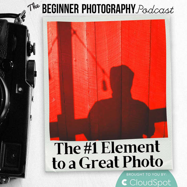 15 Pros Share: Whats the Most Important Element to a Great Image