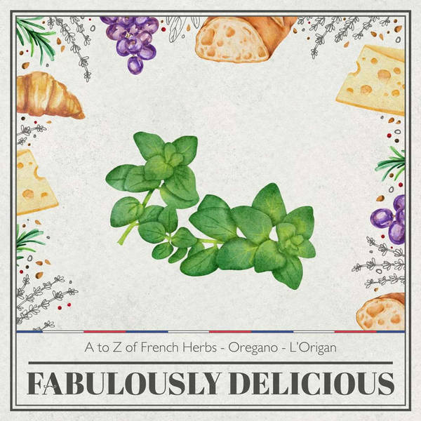 A to Z of French Herbs - Oregano - L'Origan