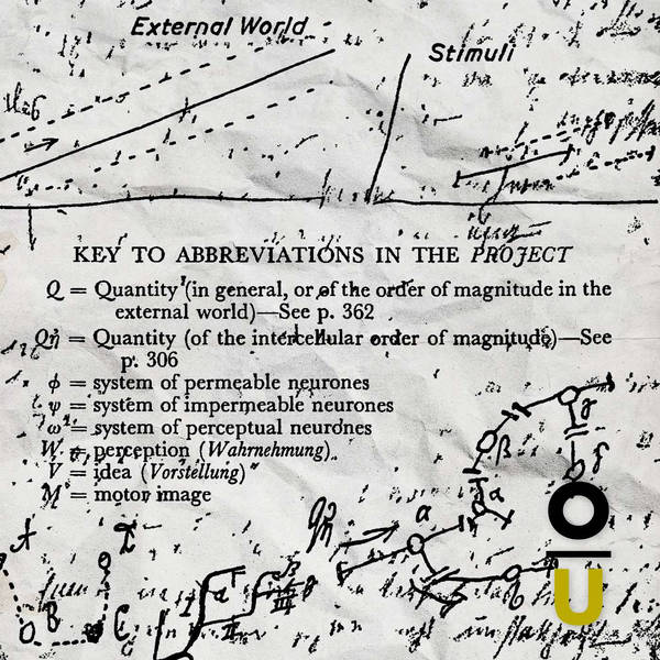 90: Standard Edition Volume 1 Part 12: The Project for a Scientific Psychology Part 3 Teaser