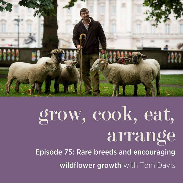 Rare Breeds at Europe’s Largest City Farm and Encouraging Wildflower Growth with Mudchute Farm Manager, Tom Davis - Episode 75