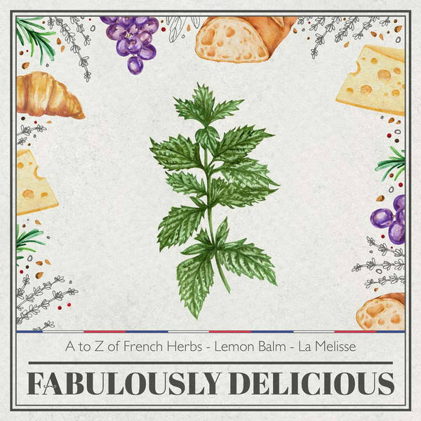 A to Z of French Herbs - Lemon Balm - La Mélisse