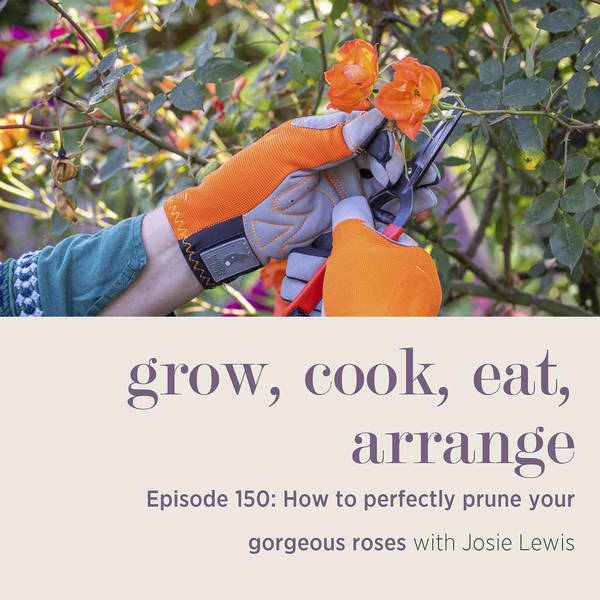 How to Perfectly Prune Your Gorgeous Roses with Josie Lewis - Episode 150