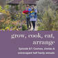 Cosmos, Zinnias & Extravagant Half Hardy Annuals - Episode 67