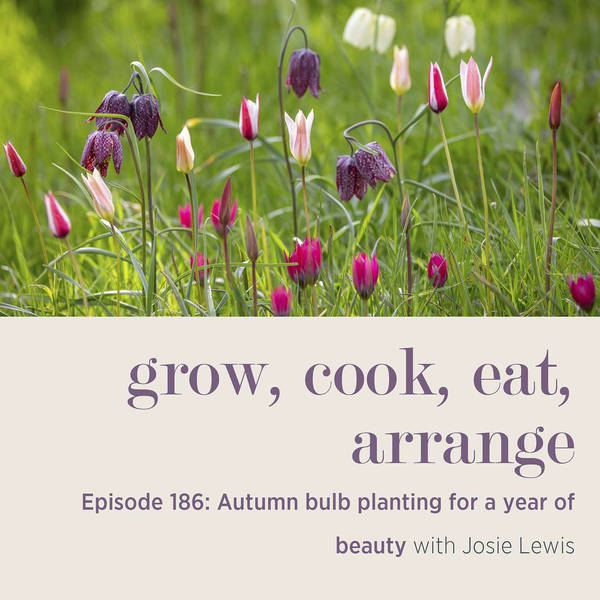 Autumn bulb planting for a year of beauty with Josie Lewis - Episode 186