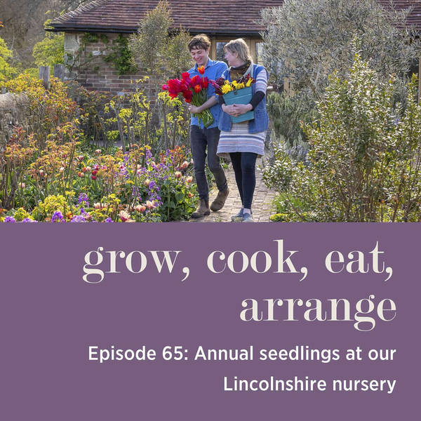 Annual Seedlings at our Lincolnshire Nursery - Episode 65