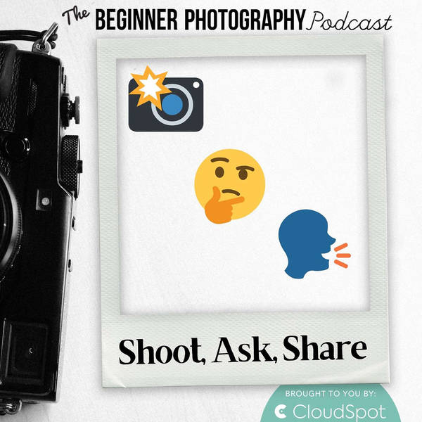 Shoot Ask Share: Community Q&A: Thanksgiving Edition