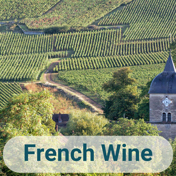 Summer Series - French Wine - Burgundy Wines and Beaujolais Nouveau