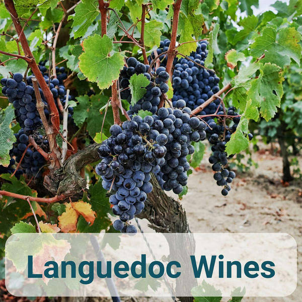 Languedoc Wines with Carrie Dykes