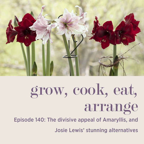 The Divisive Appeal of Amaryllis, and Josie Lewis’ Stunning Alternatives - Episode 140