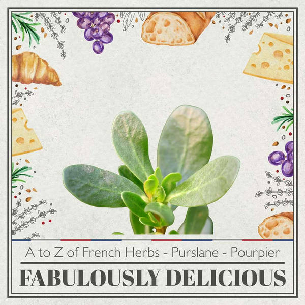 A to Z of French Herbs - Purslane - Pourpier