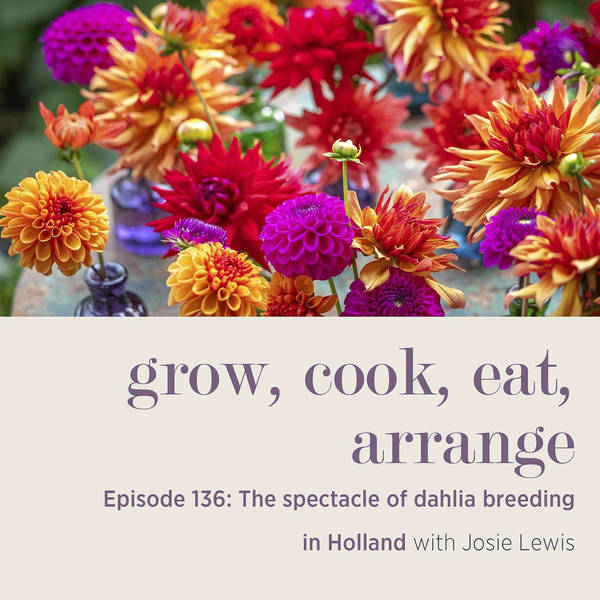 The Spectacle of Dahlia Breeding in Holland with Josie Lewis - Episode 136