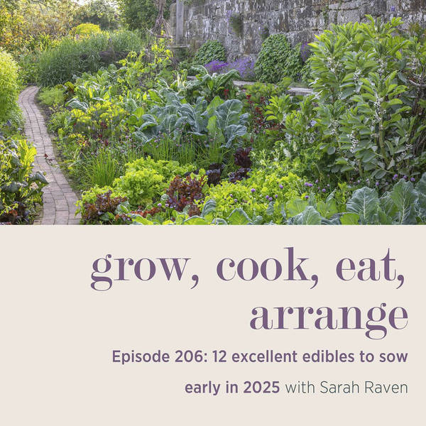 12 excellent edibles to sow early in 2025 - Episode 206