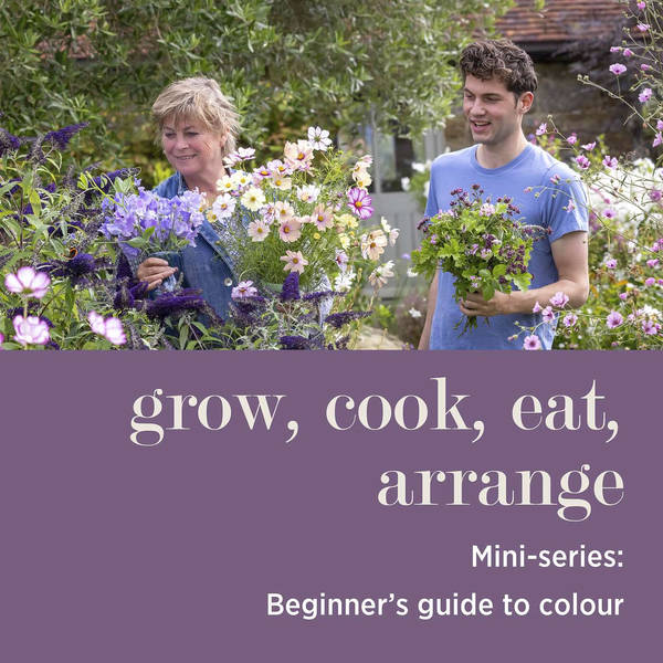 MINI-SERIES: Beginner’s Guide to Colour