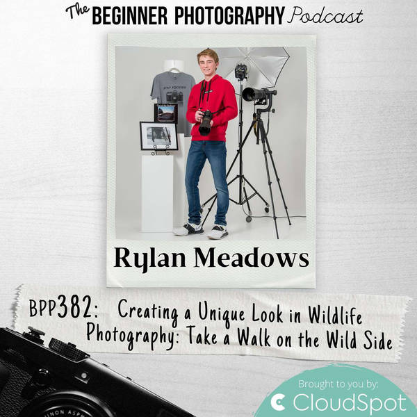 Creating a Unique Look in Wildlife Photography with Rylan Meadows