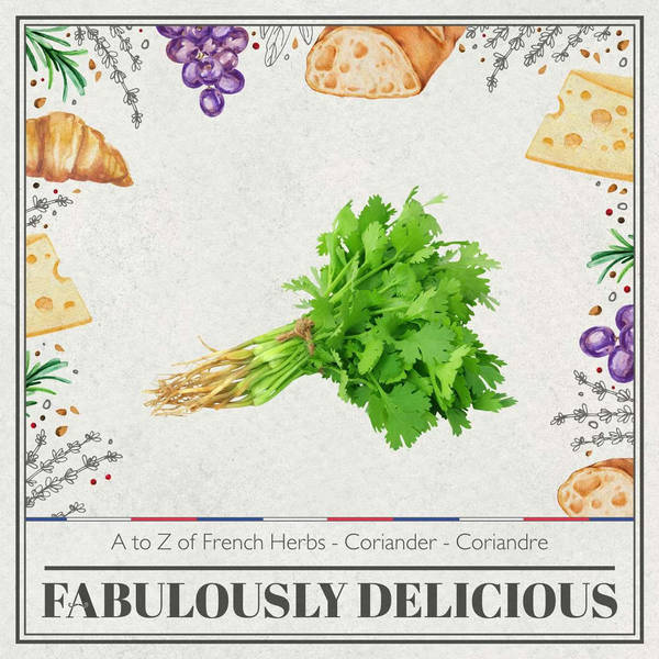 A to Z of French Herbs - Coriander - Coriandre