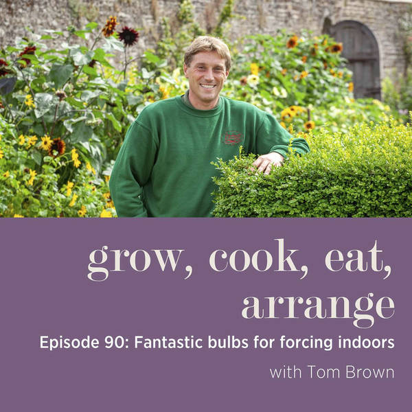 Fantastic Bulbs for Forcing Indoors with Tom Brown - Episode 90