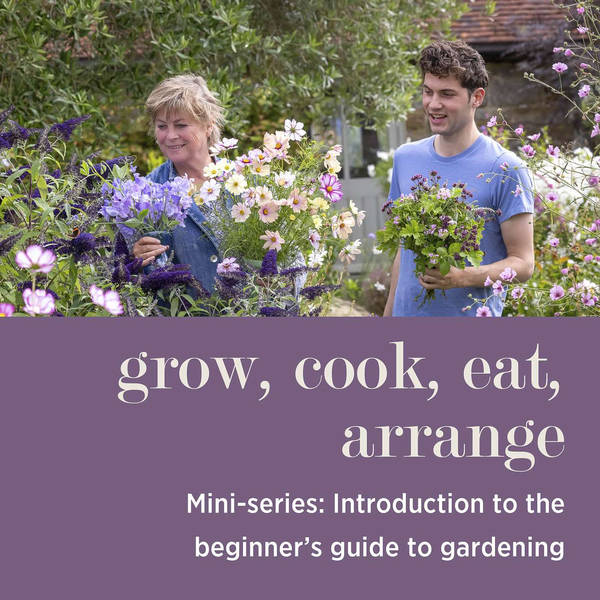 MINI-SERIES: Introduction to The Beginner’s Guide to Gardening