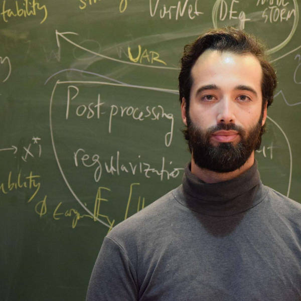 "Meet the... Simons Postdoctoral Fellows" mini series #3: Dr Aluna Rizzoli