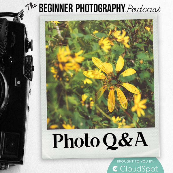 Photo Q&A: Why Do My Photos Look Different on My Camera vs. Lightroom?