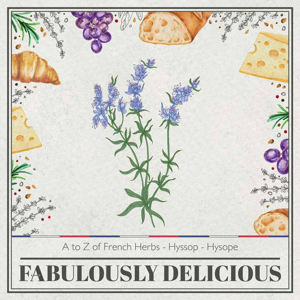 A to Z of French Herbs - Hyssop - Hysope