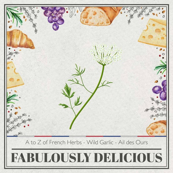 A to Z of French Herbs - Anis Vert - Green Anise